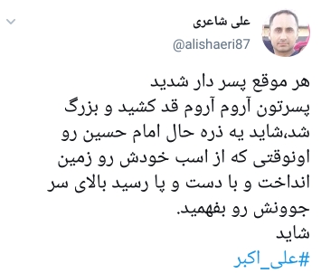 شهادت حضرت علی اکبر
