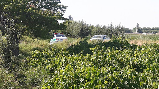 دستگیری سارق ۲۴ باغ استان همدان