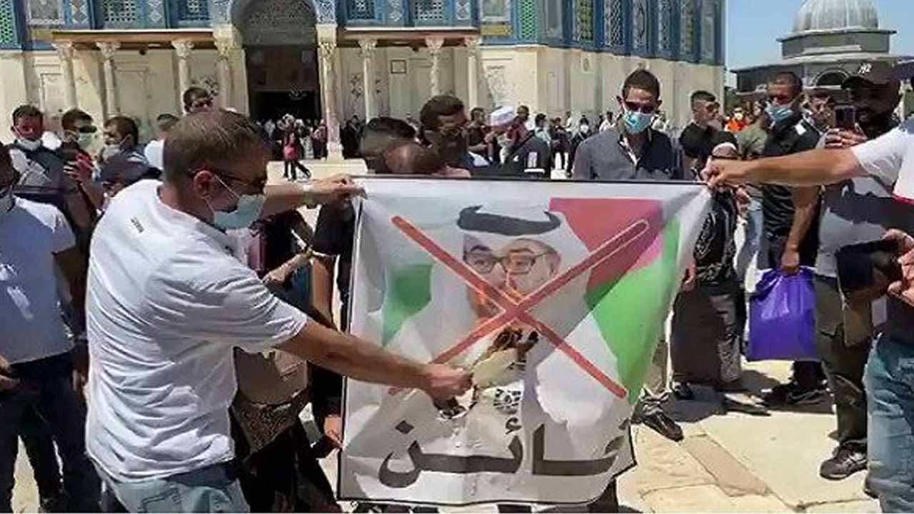 پشت پا زدن آزادی خواهان به ذوق زدگی حاکمان عرب از روابط با صهیونیست‌ها