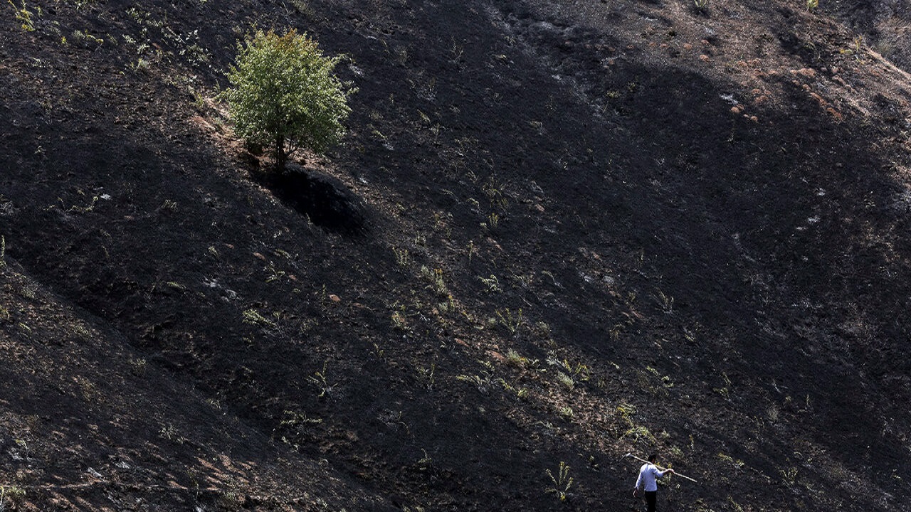 مهار آتش سوزی ارتفاعات دالاهو در روستای &laquo;شالان&raquo;
