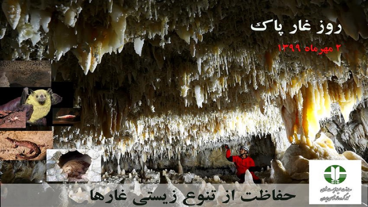 آگاهی‌بخشی کارکرد محیط زیستی غارها، ضامن حفاظت از آنهاست