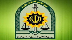 دستگیری سارق