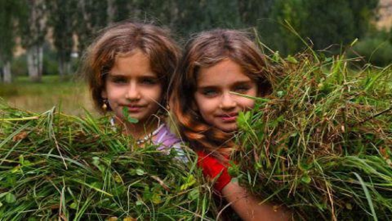 درخشش اعضای کانون پرورش فکری آذربایجان غربی در سومین مهرواره عکس