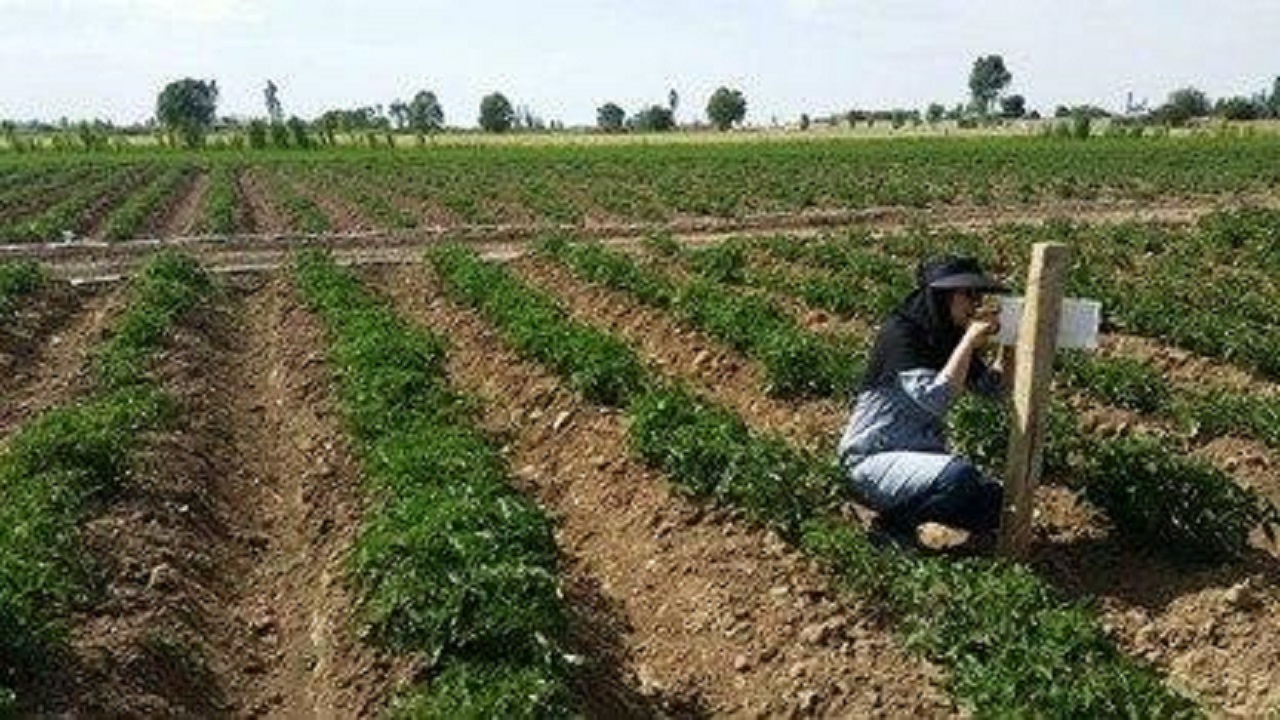 آغاز فاز هفتم پروژه همکاری در احیای دریاچه ارومیه با مشارکت جوامع محلی