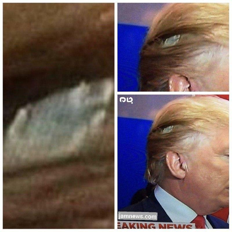 /