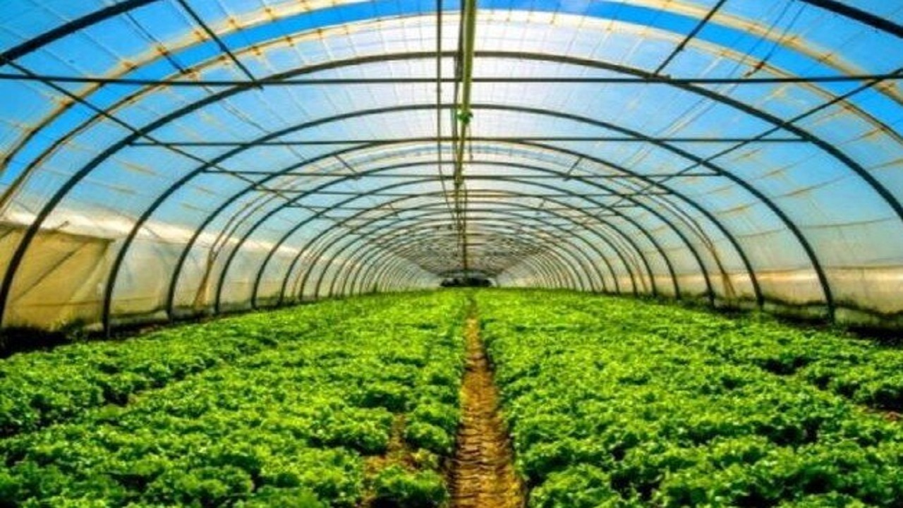 احداث گلخانه کوچک مقیاس راه حل برون رفت از بحران خشکسالی