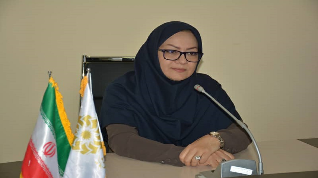 کتاب بر بلندای کورک در بوته نقد و بررسی