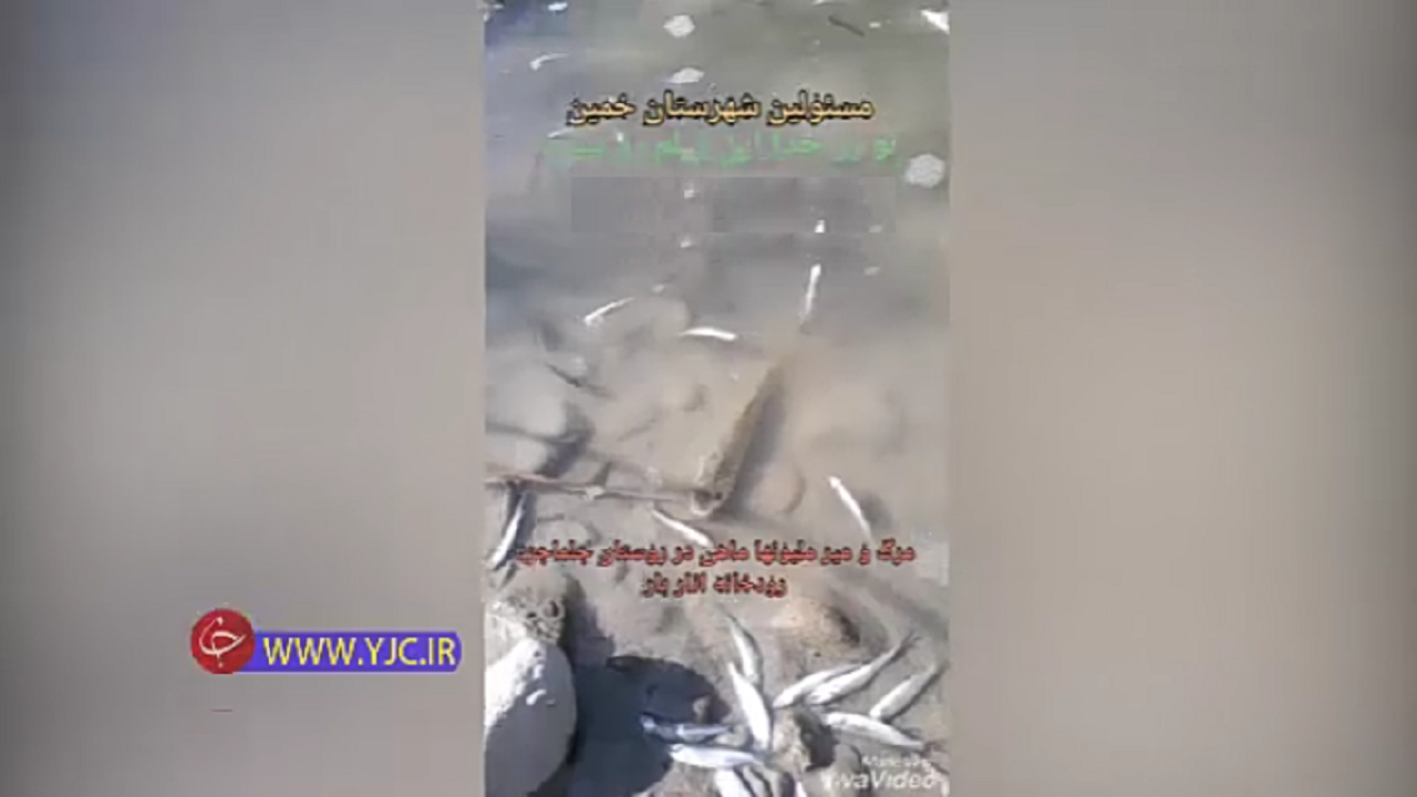 ماهی‌های رودخانه اناربار جلماجرد به دلیل اتمام سقف حق آبه تلف شدند