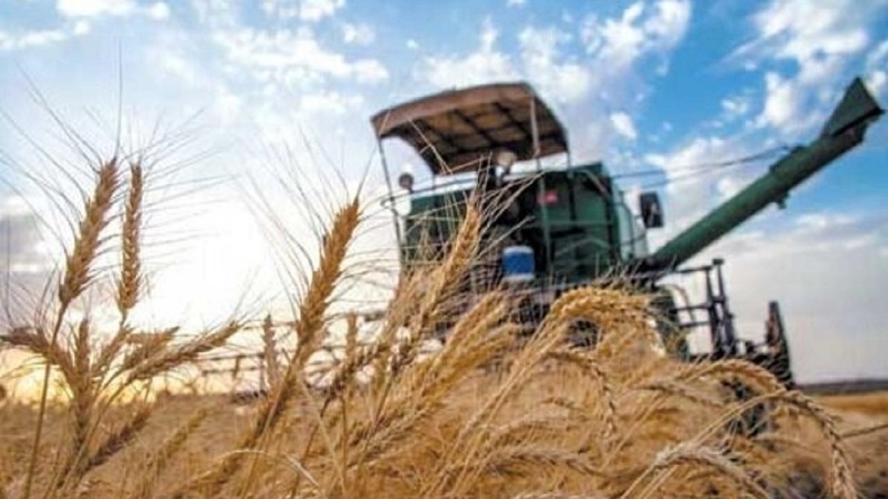 بسته شدن پرونده خرید تضمینی گندم در استان قزوین