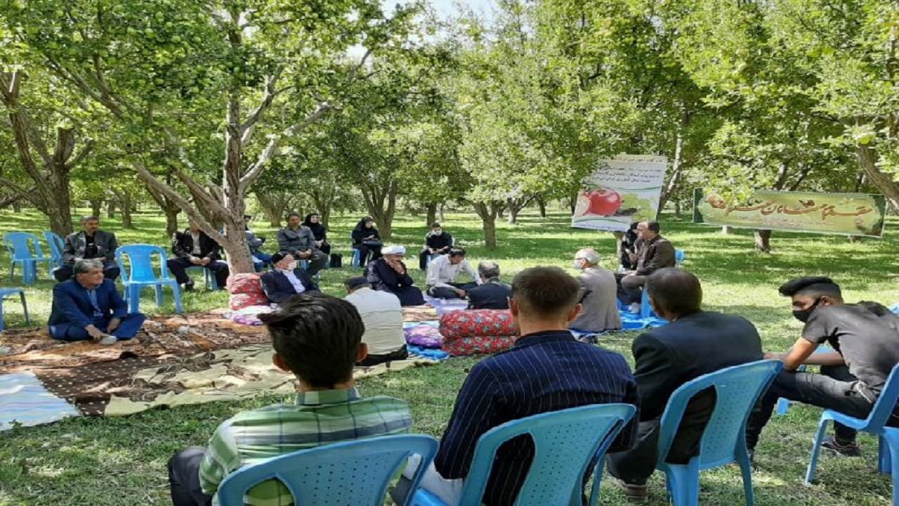بیش از ۸۳ هزار تن سیب از باغات میاندوآب برداشت می‌شود