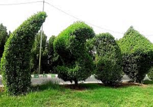 سرخط مهم&zwnj;ترین خبر&zwnj;های پنجشنبه دهم مهرماه ۹۹ آبادان