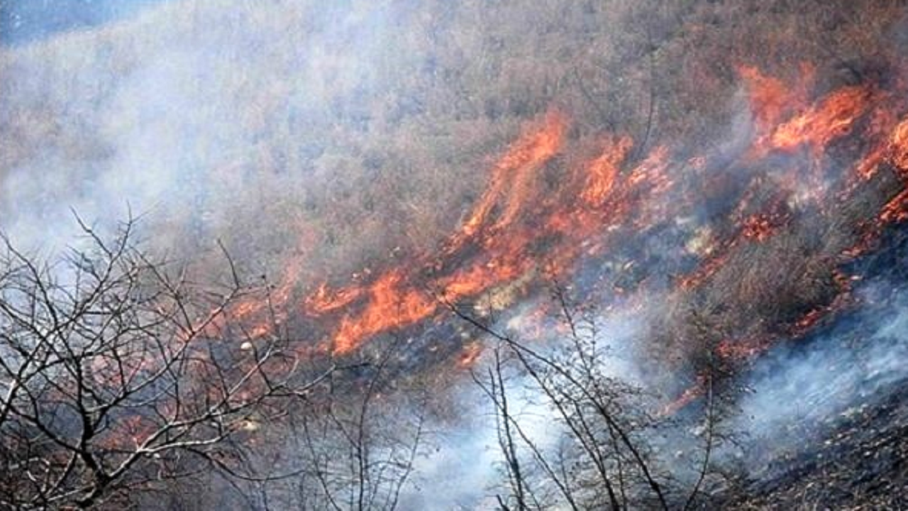 سهل انگاری گردشگران، آتش به جان مراتع بافق انداخت