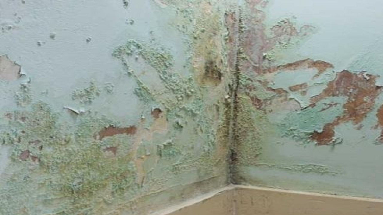 شوره، نقشی نازیبا بر خانه‌های اهالی روستای صفیره اهواز/ شکستگی انشعابات آب دردسری جدید برای روستائیان