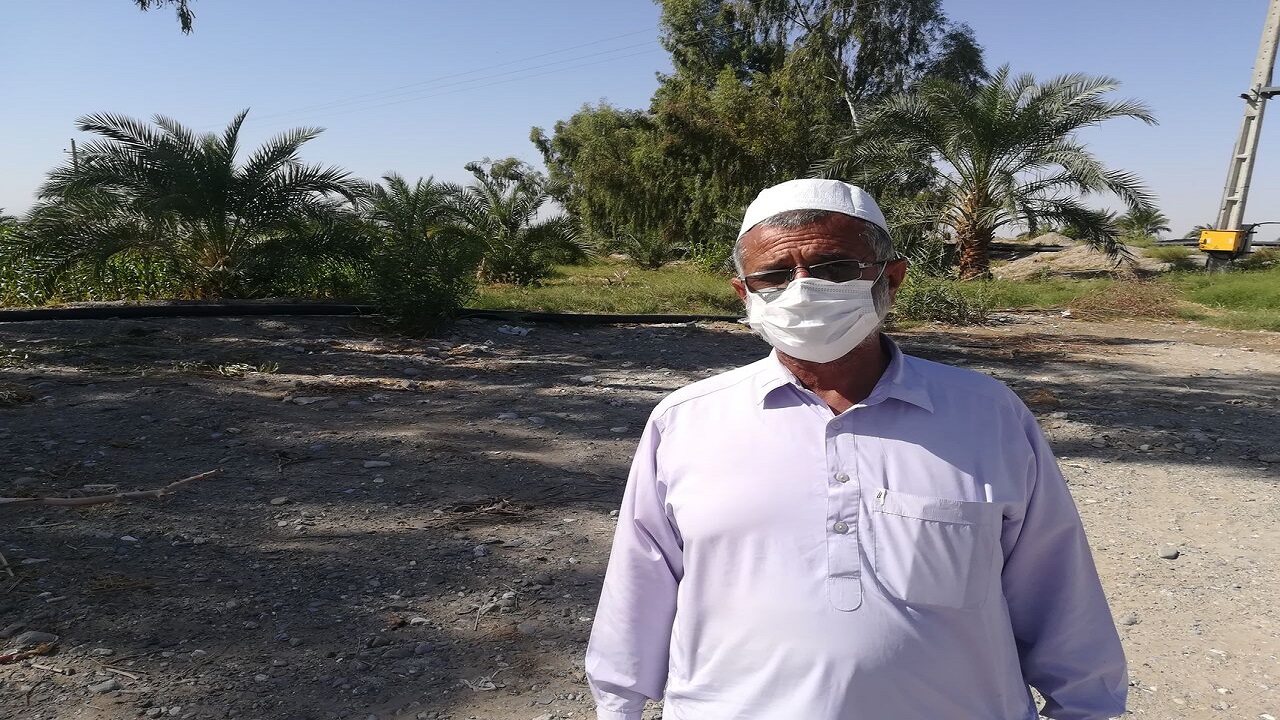 کارآفرین ایرانشهری ۴٠ هکتار زمین سنگلاخی را سرسبز کرد
