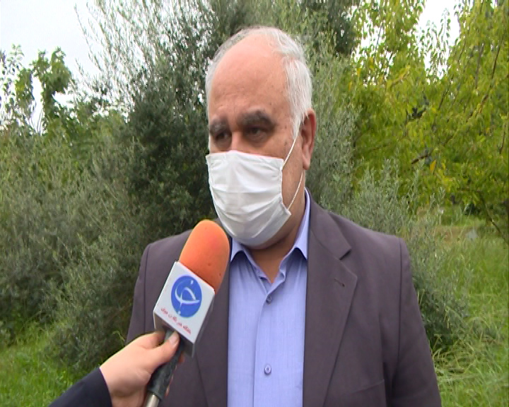 مدرن سازی شالیکوبی&zwnj;های استان راهی برای کاهش ضایعات برنج