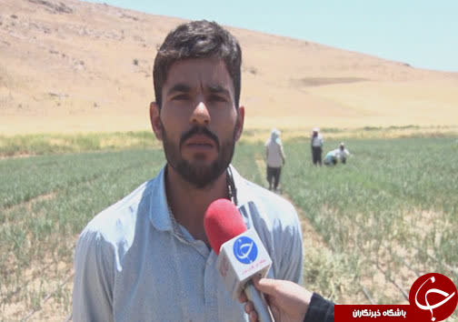 پذیرایی گرم تالاب کانی برازان از پرندگان مهاجر
