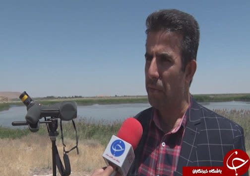 پذیرایی گرم تالاب کانی برازان از پرندگان مهاجر