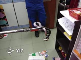 پنهان شدن مار کبرا در قفسه کتابخانه مدرسه!