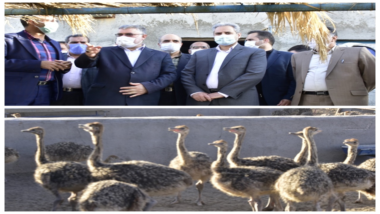 فعالان بنیاد تعاون و حرفه آموزی خراسان جنوبی، میزبان وزیر جهاد کشاورزی