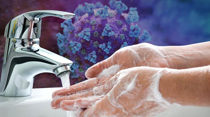 از خورندنی خوشمزه&zwnj;ای که سرطان ریه را درمان می&zwnj;کند تا اما و اگر داشتن موی سالم