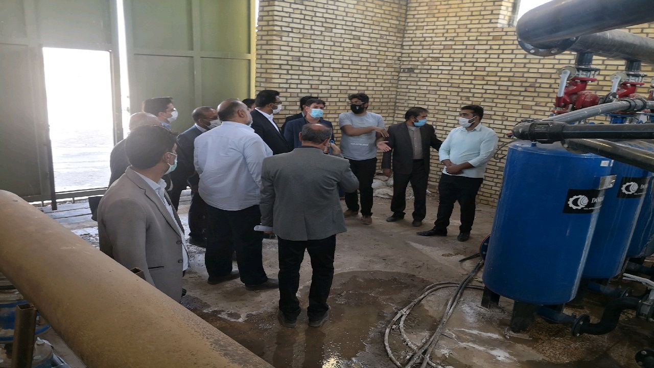سرمایه گذاران برای حمایت از نهضت گلخانه‌ای خراسان جنوبی، به میدان بیایند