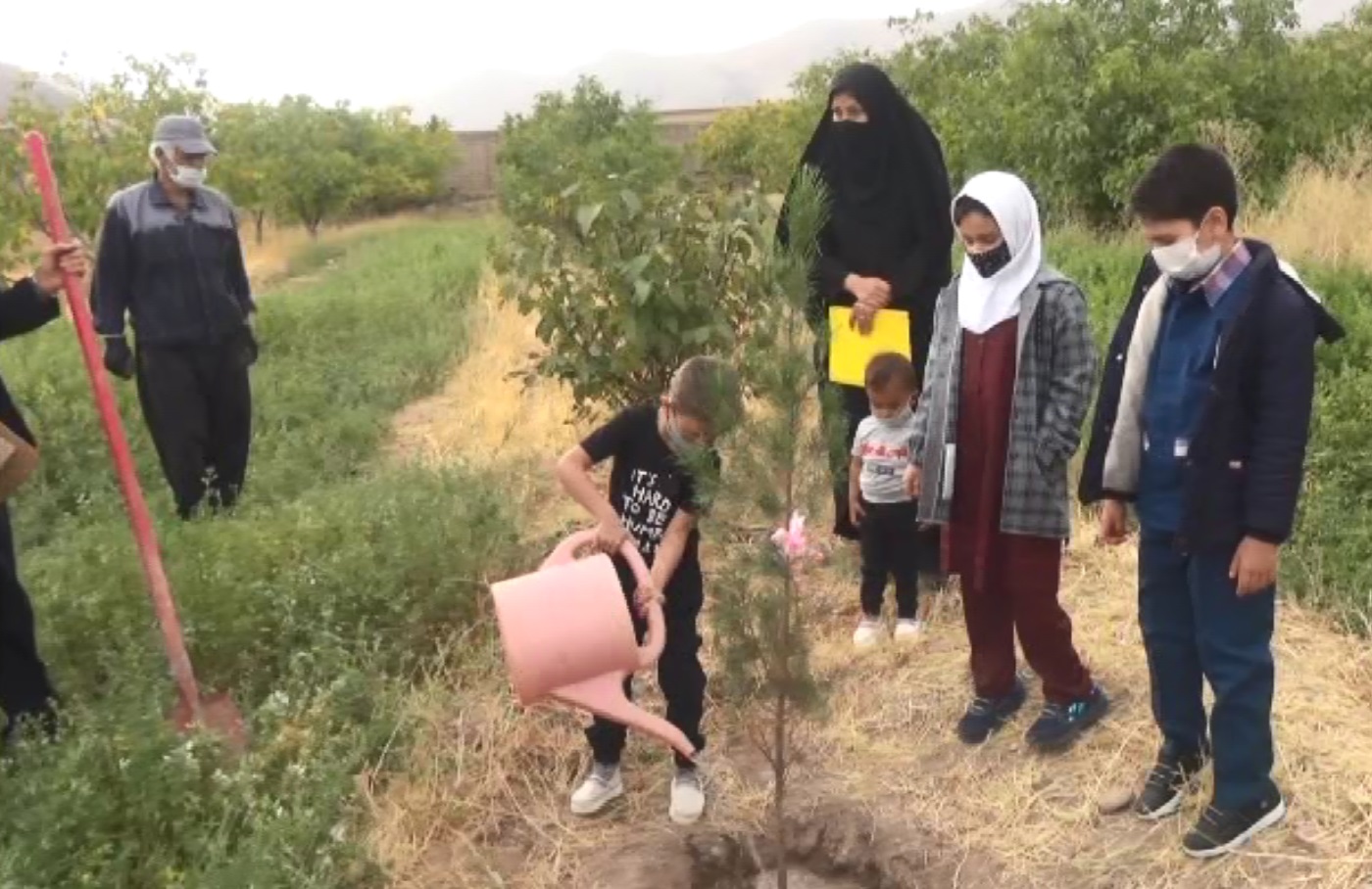 کودکان تفرشی نهال کاشتند