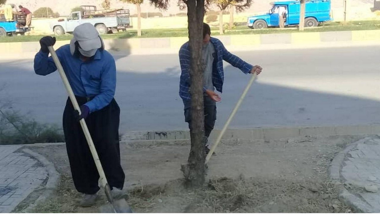 آماده سازی بستر کشت گل‌های فصل سرد در ایلام