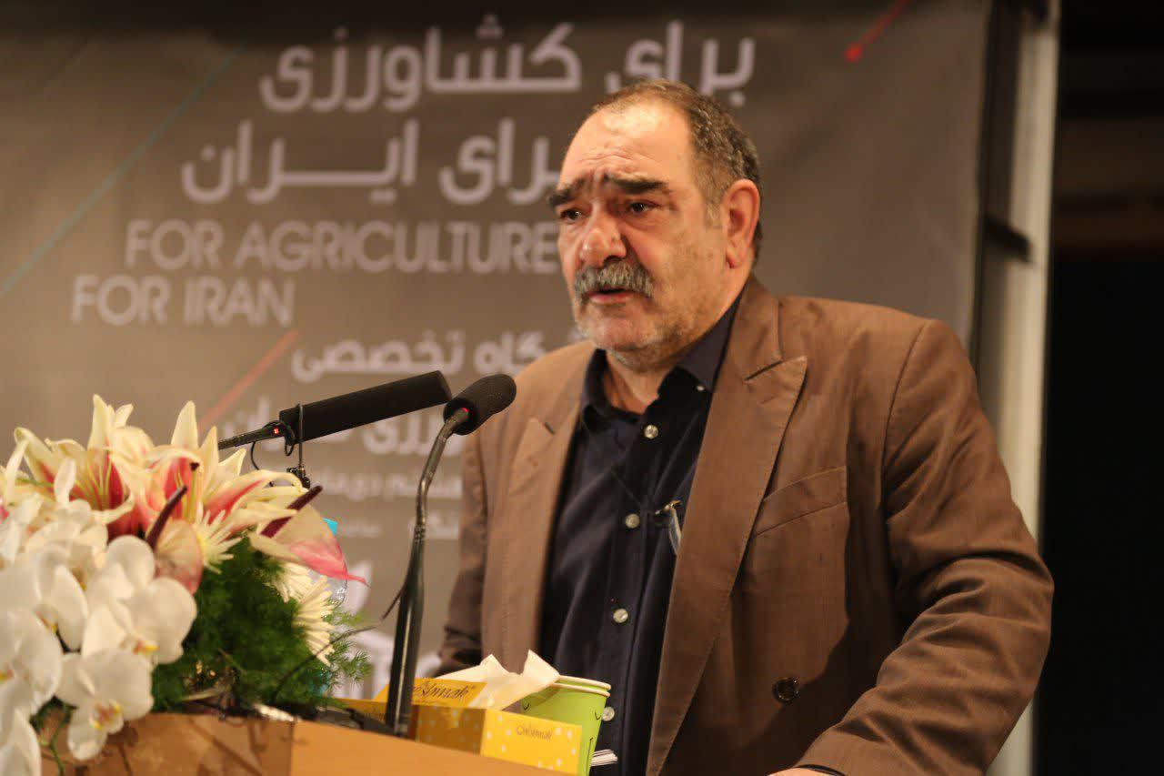 انگور شهر جهانی در انتظار صادرات تازه خوری