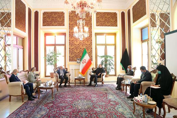 سفیر ارمنستان با امیرعبداللهیان دیدار کرد