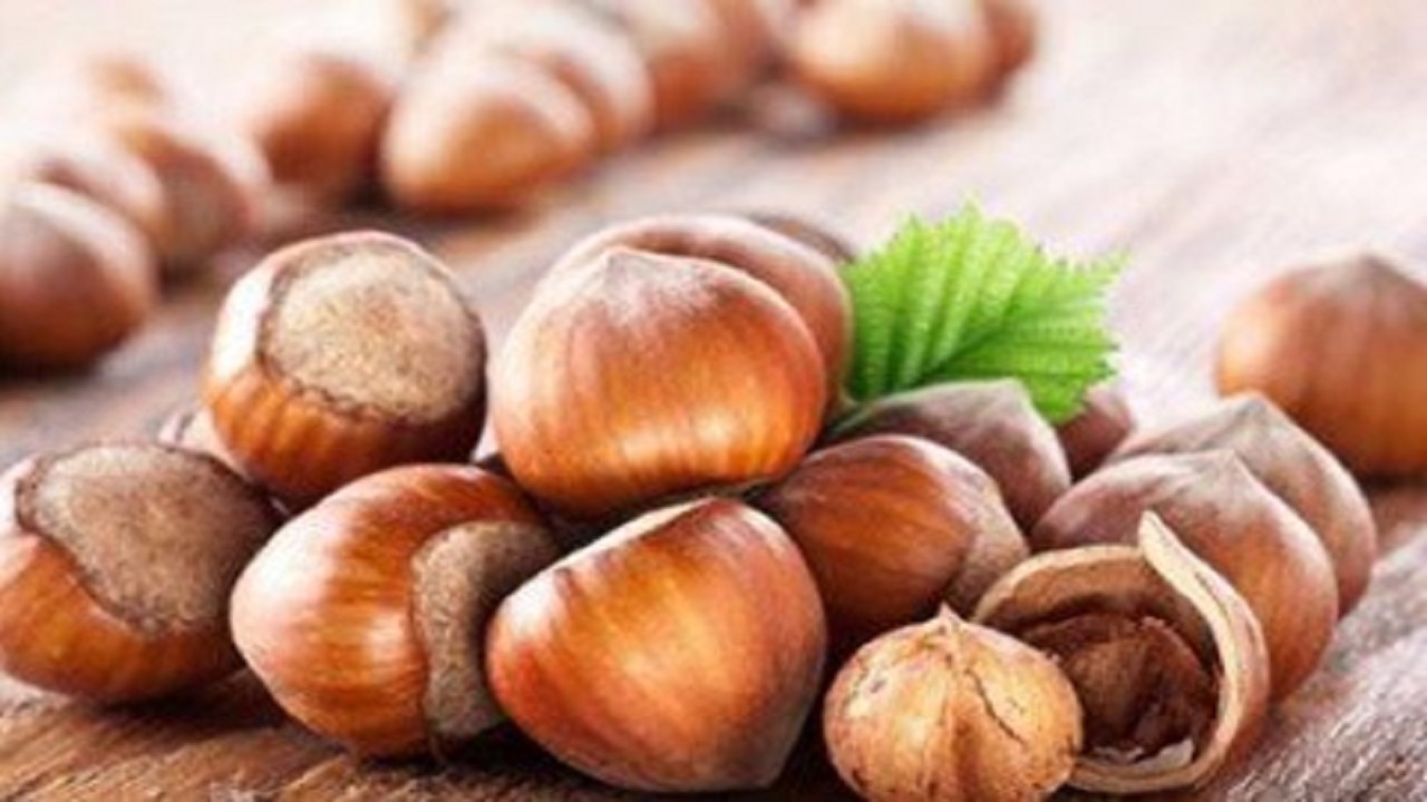 فواید فندق