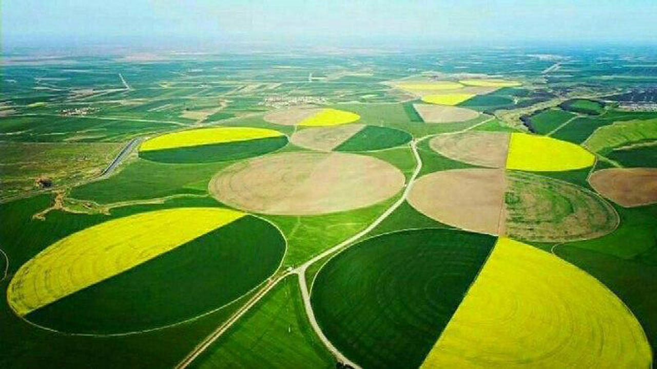 طلای مغان، در ترازوی حساب هیئت داوری