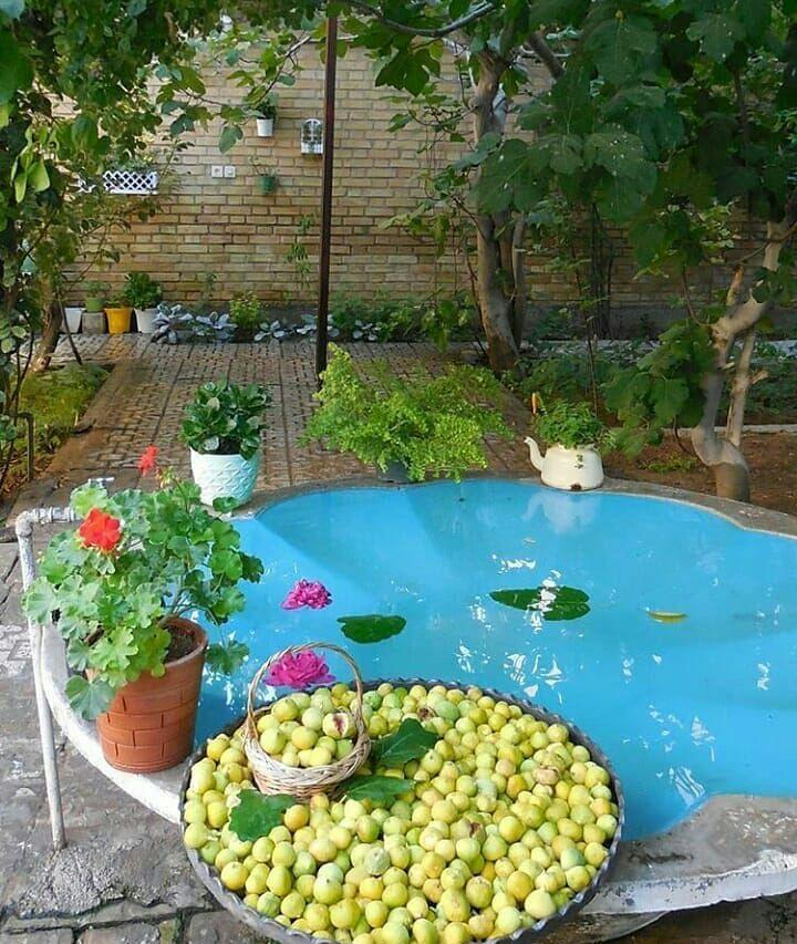 خانه های قدیمی و زیبا که در و دیوارشان با شما حرف می زند