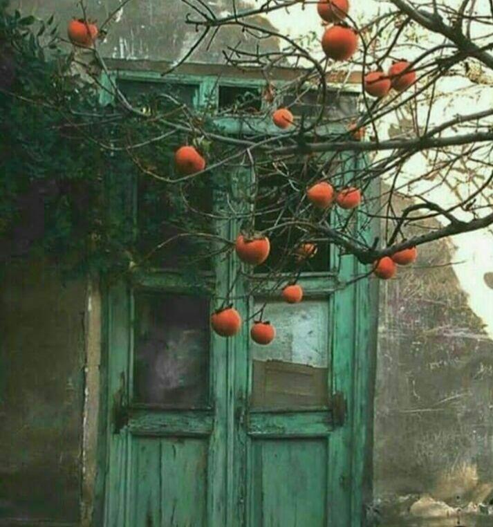 خانه های قدیمی و زیبا که در و دیوارشان با شما حرف می زند