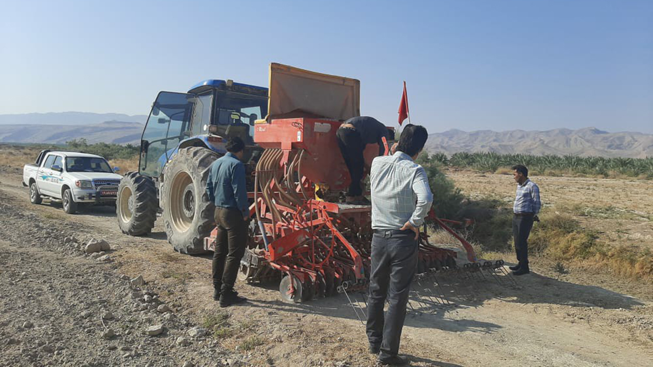 کاشت مکانیزه کلزا در قیروکارزین آغاز شد