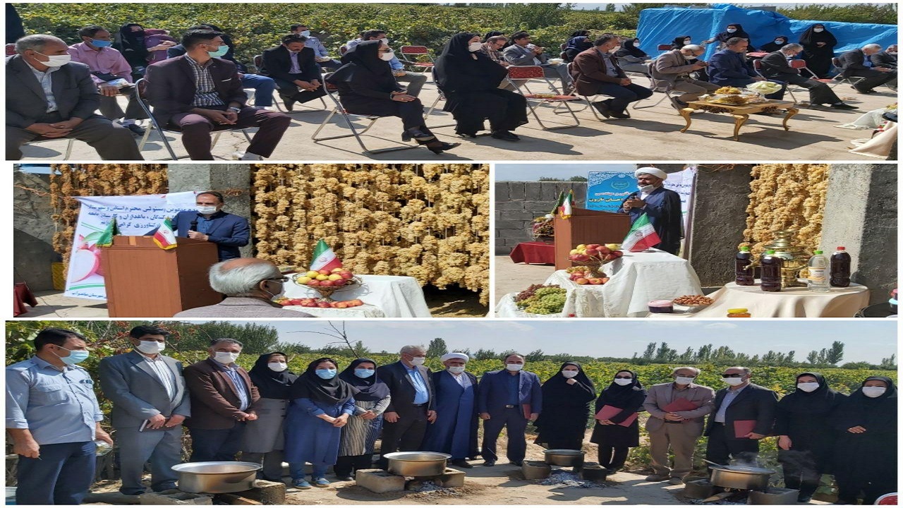 آغاز دوشاب پزان در شهرستان میاندوآب