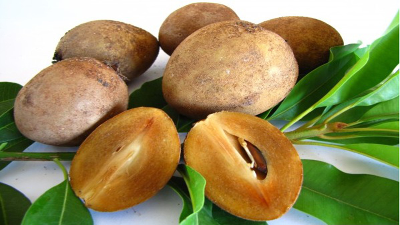 میوه چیکو