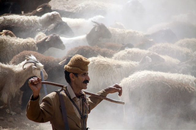 وام عالی، دست خالی