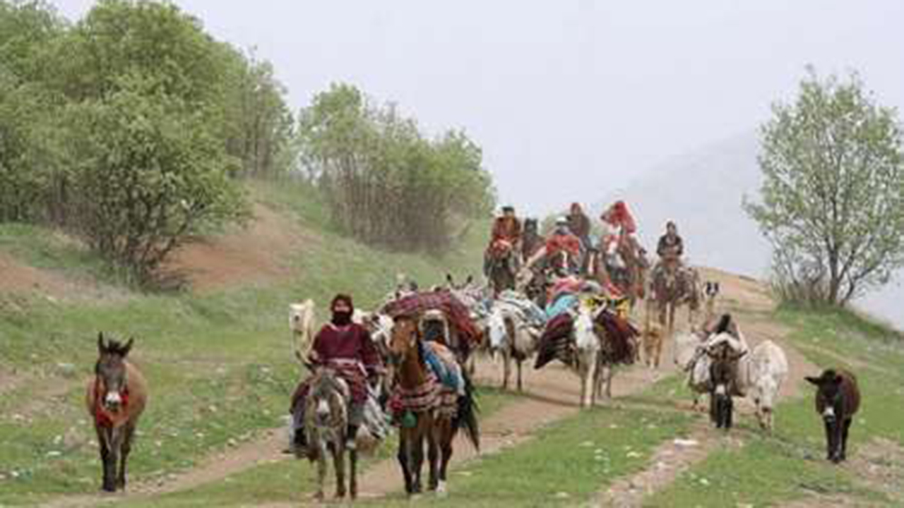 اسکان ۷ هزار خانوار عشایری در فارس