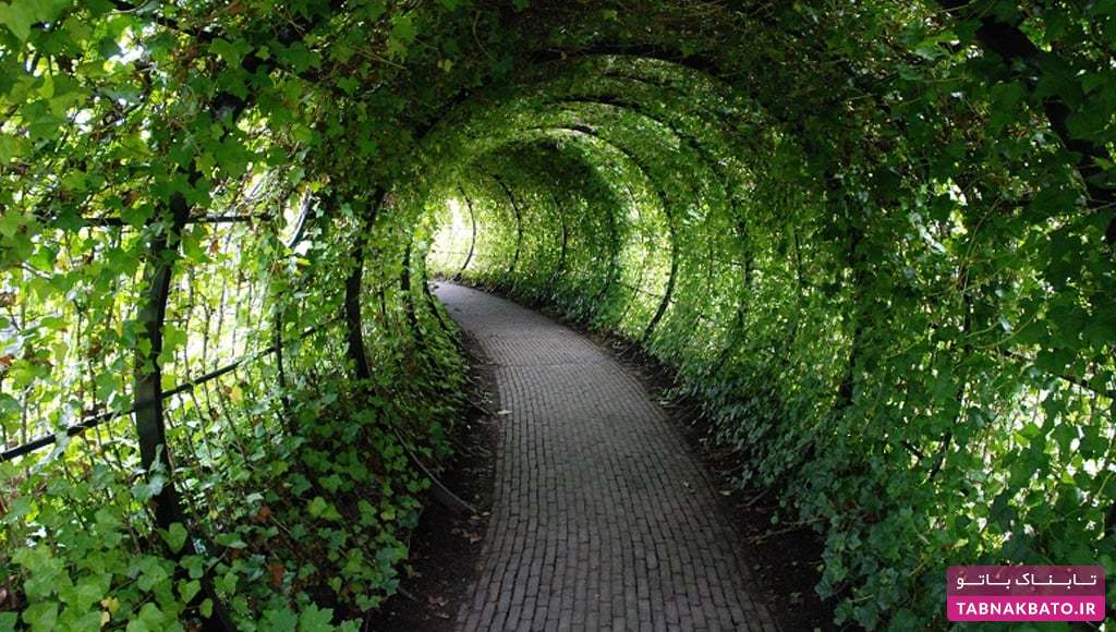 خطرناک&zwnj;ترین باغ گیاهان جهان با چندین کشته در یک سال