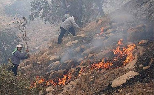 ریزدانه&zwnj;های رژیمی اما مقوی/ کشف ۱۰۰ هزار بوته گیاه مخدر در هشترود/ سفر به مشهد تا اطلاع ثانوی ممنوع!