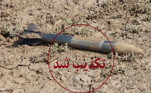 ریزدانه&zwnj;های رژیمی اما مقوی/ کشف ۱۰۰ هزار بوته گیاه مخدر در هشترود/ سفر به مشهد تا اطلاع ثانوی ممنوع!