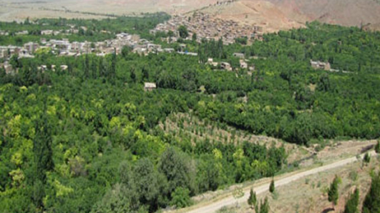 کشتهای متراکم بهترین راه مبارزه با کم آبی باغات مشهد