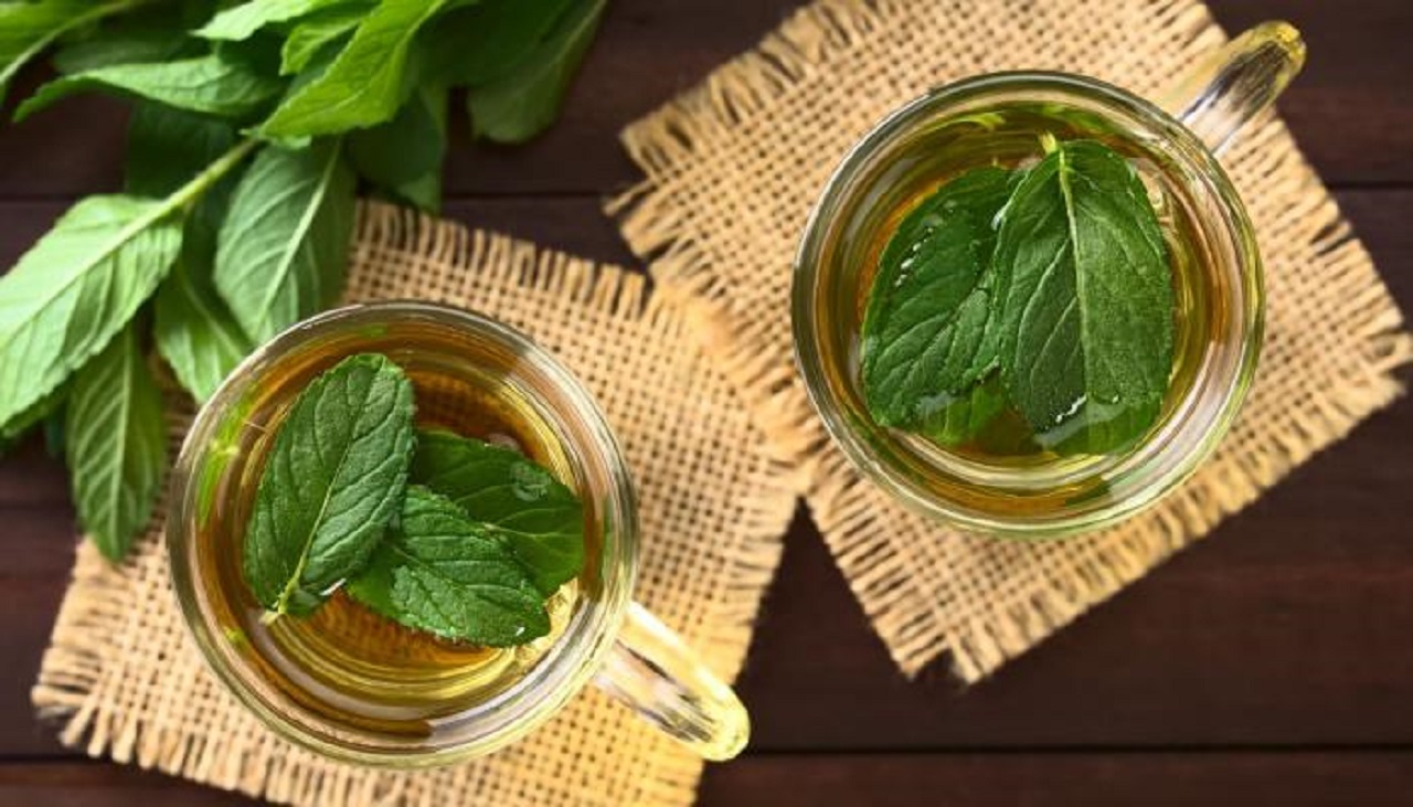 ۸ خاصیت نعناع؛ سبزی که عطرش هوش از سرتان می‌برد