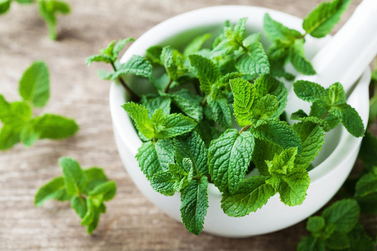 نعناع سبز و فواید اعجاب انگیز آن