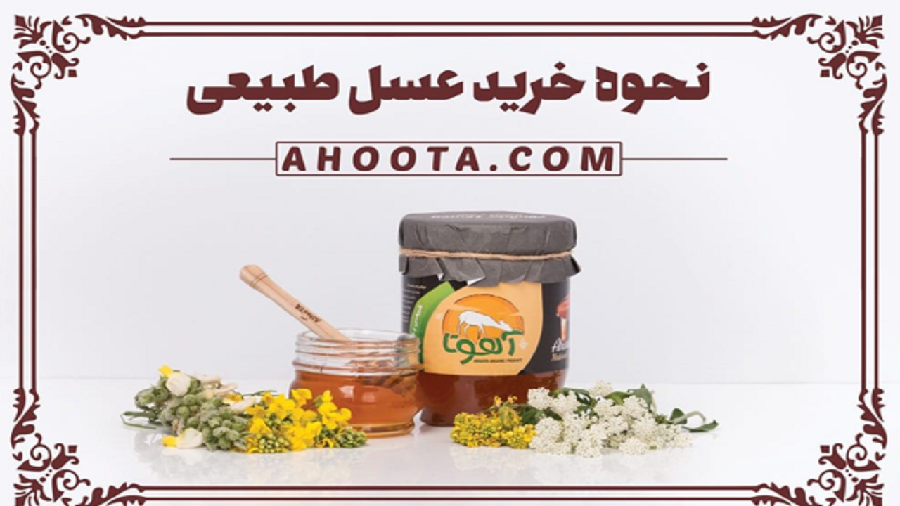 ۶ نکته مهم برای خرید عسل طبیعی به روش حرفه ای‌ها