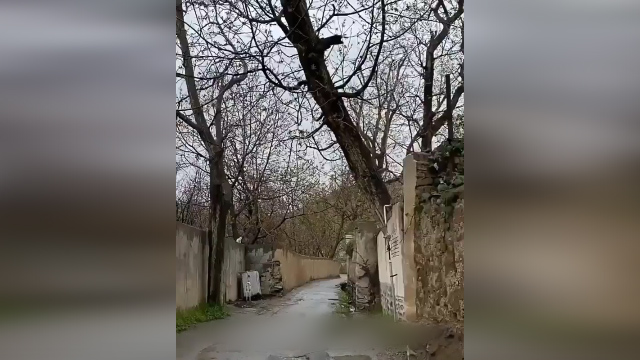 کوچه باغ‌های بسیار زیبا و دیدنی «کن» + فیلم