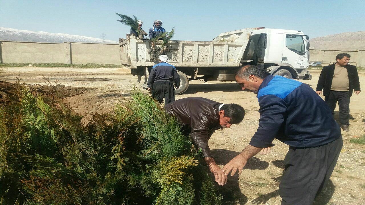 هرس پاییزی درختان در سطح شهر صحنه انجام می شود