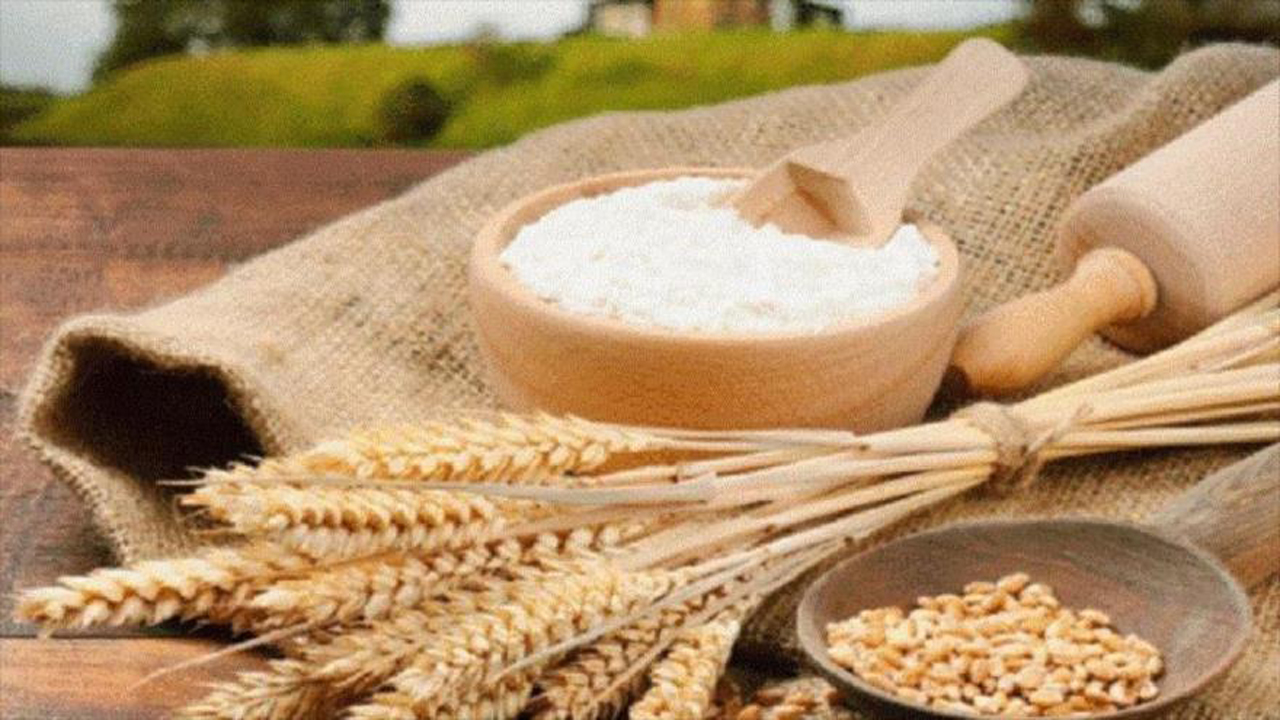 تولید نان با آرد کامل در ۵ نانوایی استان تا ۲ ماه آینده