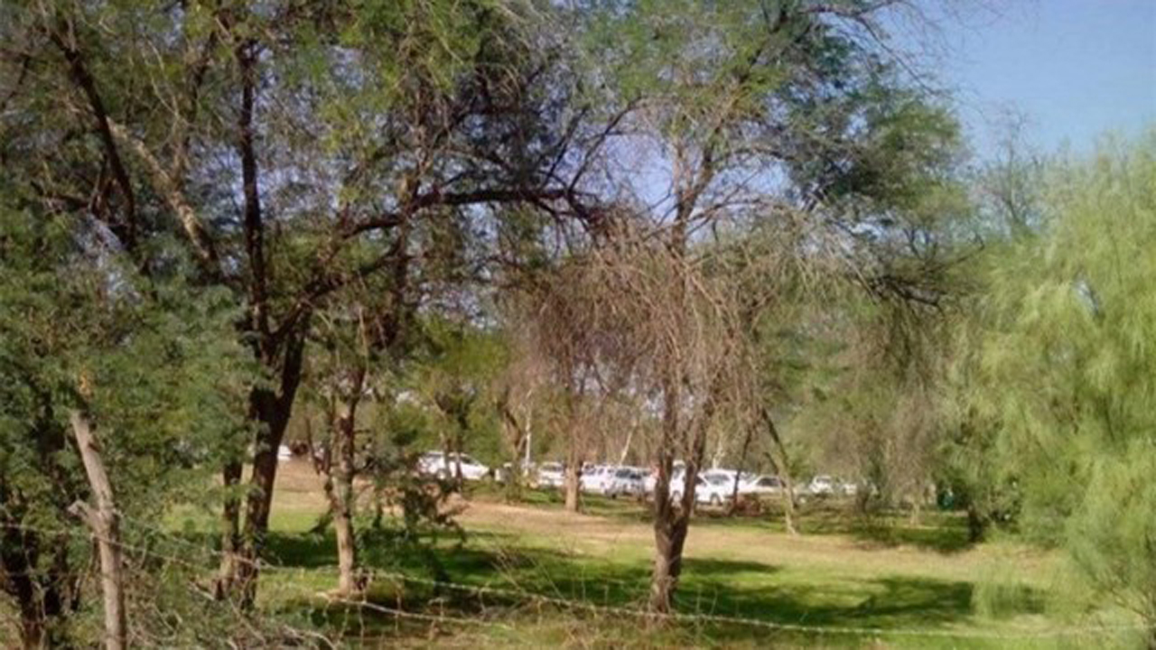 پارک‌های جنگلی در چهارمحال و بختیاری احاله مدیریت می‌شود