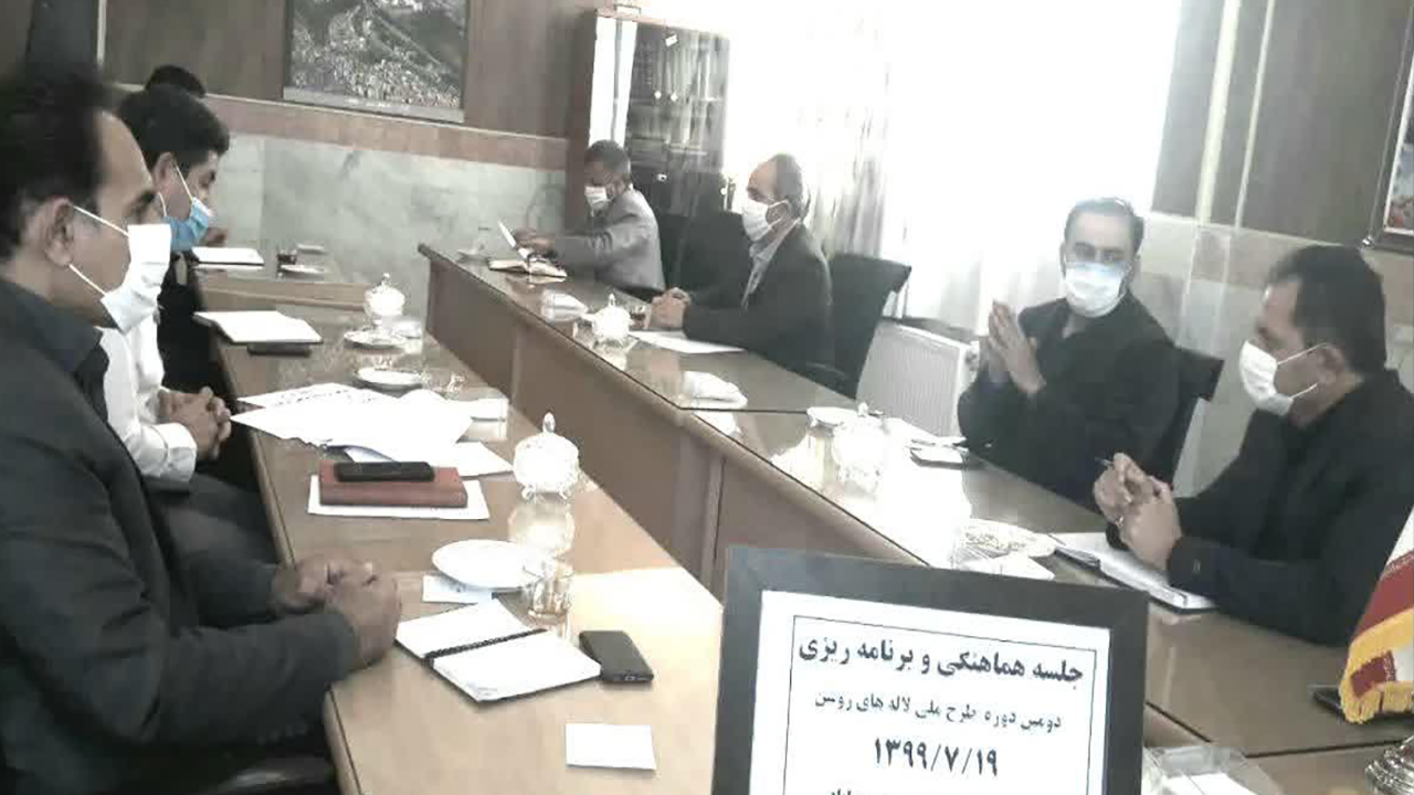طرح لاله‌های روشن در بیش از ۳۰۰ مدرسه مهاباد اجرا می شود